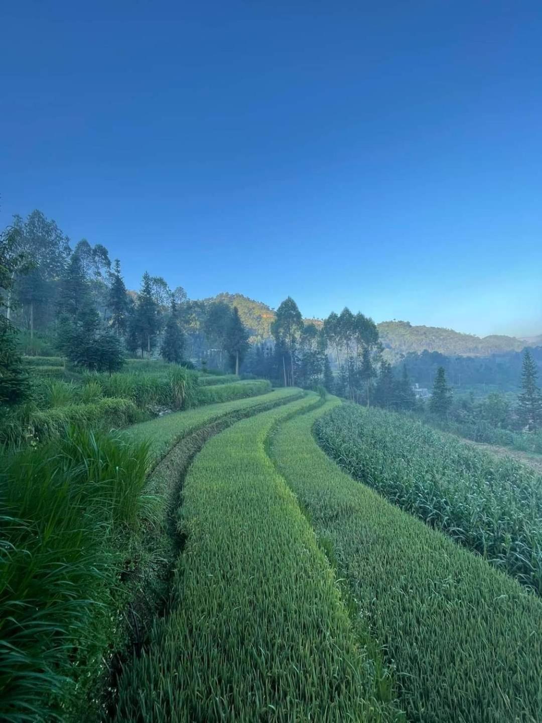 Dong Van Hmong Homestay Bagian luar foto